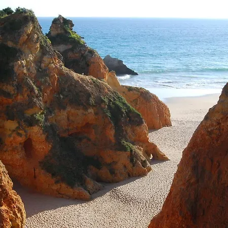 The Birds Nest * Alvor