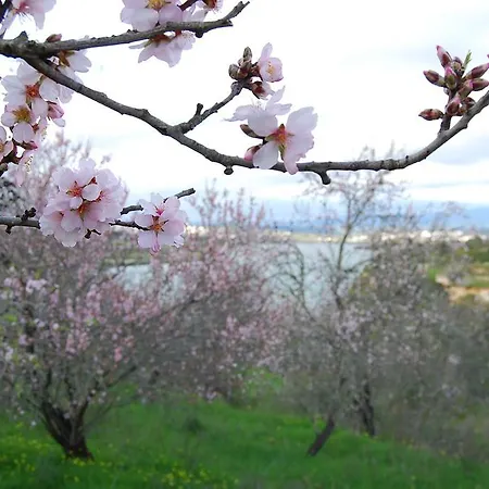 Σπίτι διακοπών The Birds Nest