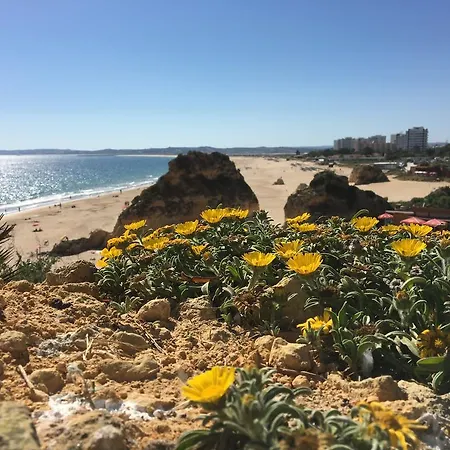 Σπίτι διακοπών The Birds Nest